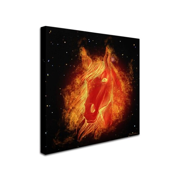 Mark Ashkenazi 'Horse On Fire' Canvas Art,18x18